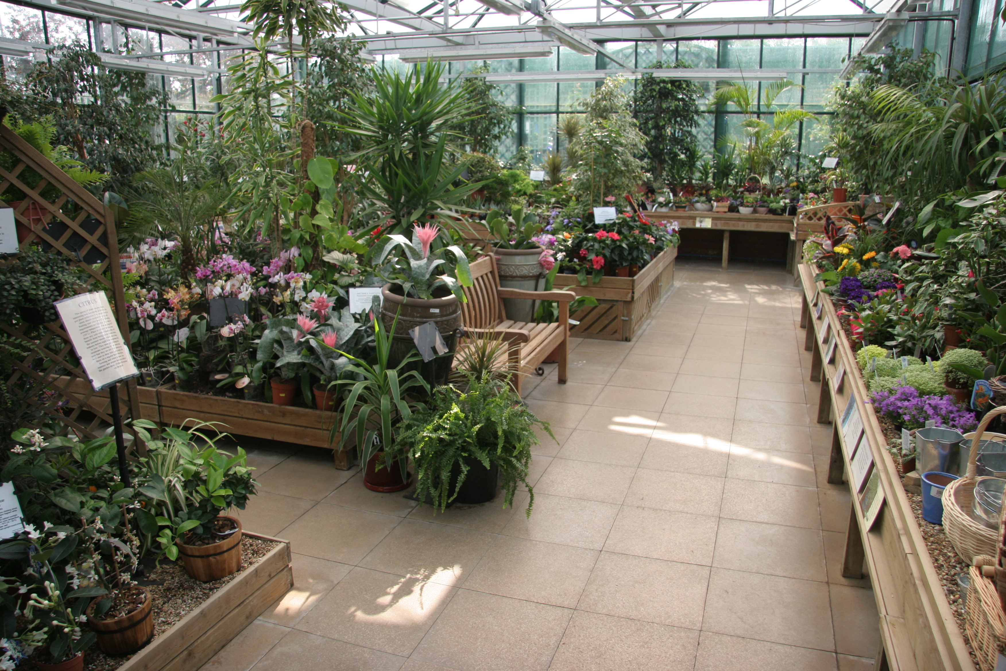 houseplant_greenhouse