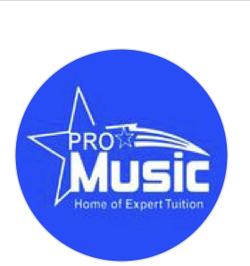 Pro Music Tuition Limited