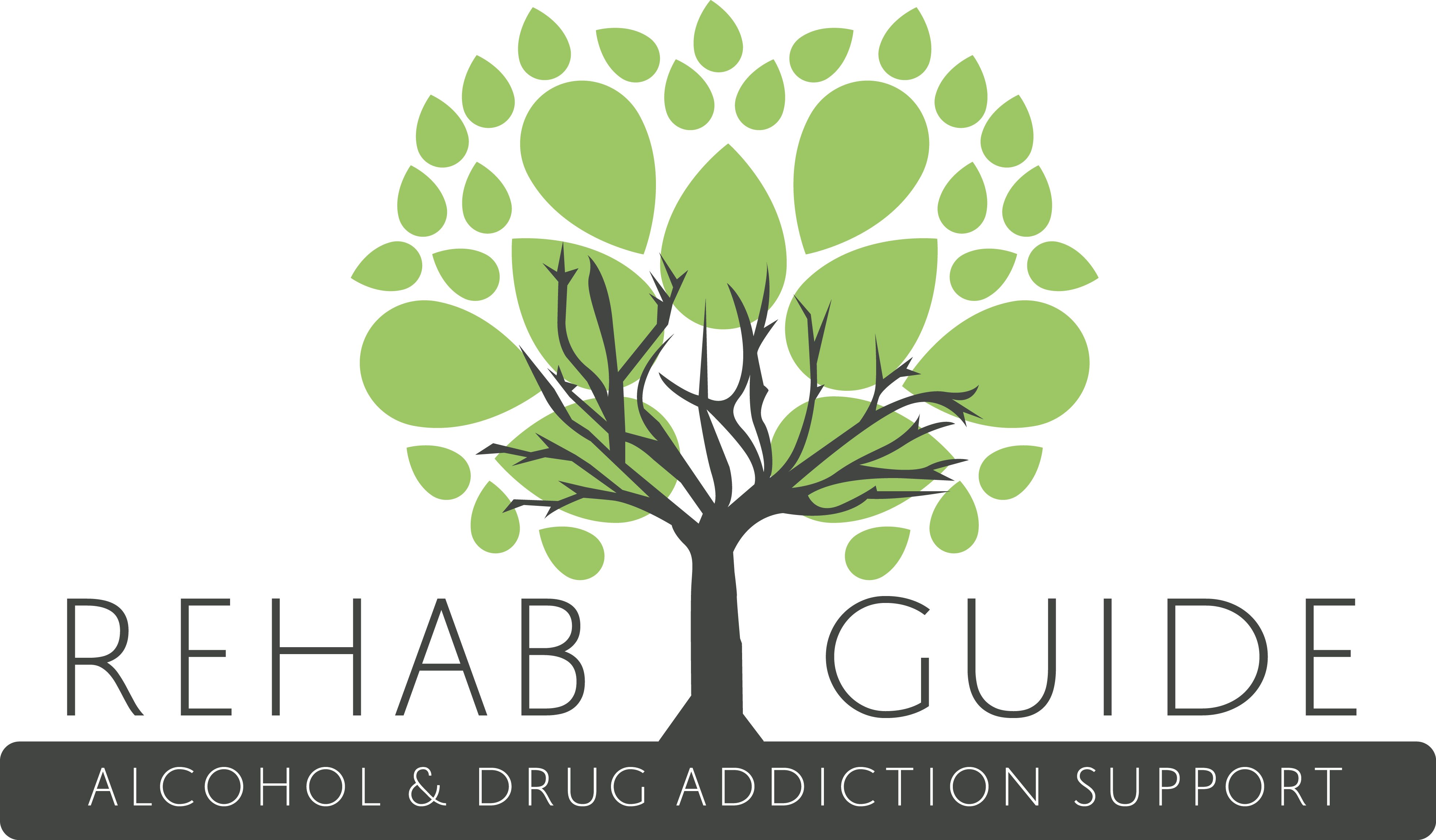 Rehab Guide - Alcohol and Drug Support