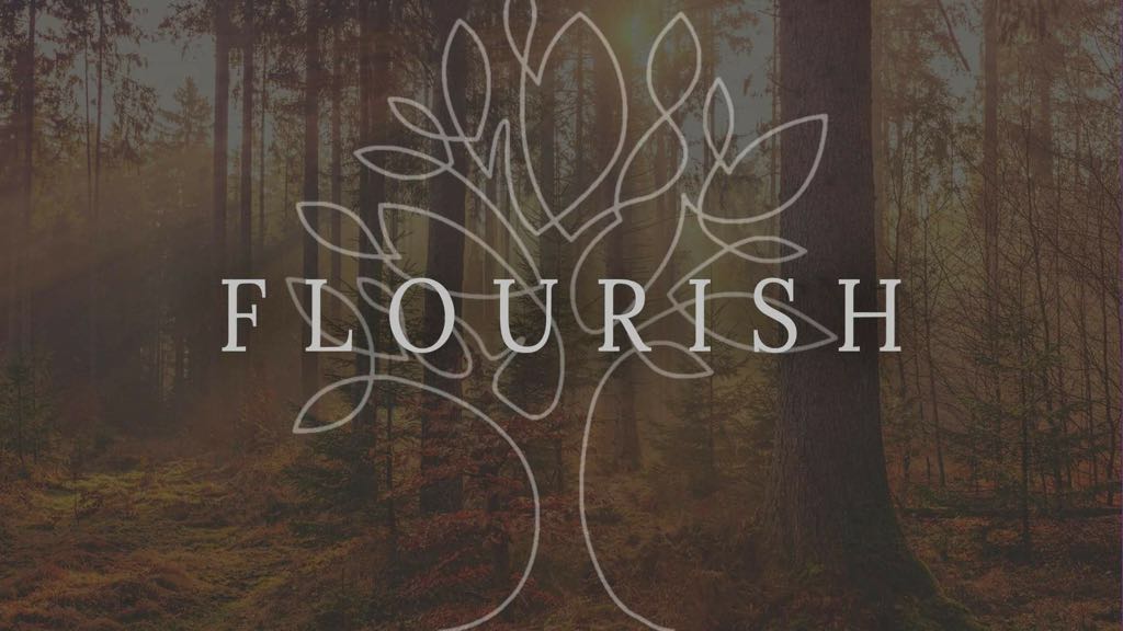 Flourish - Group for Adults with Learning Disabilites