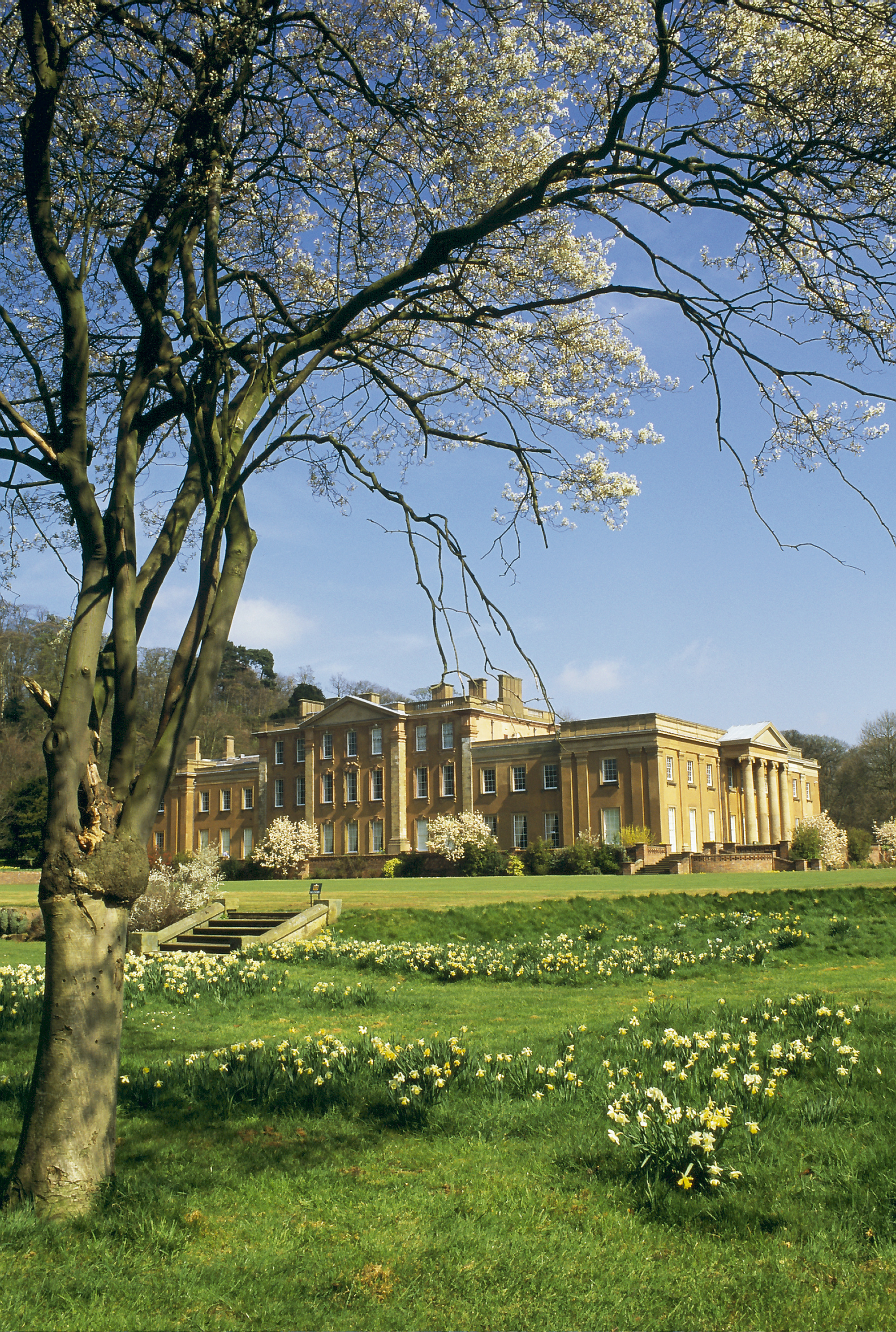Himley Hall and Park - South Wing Coffee Lounge and Galleries