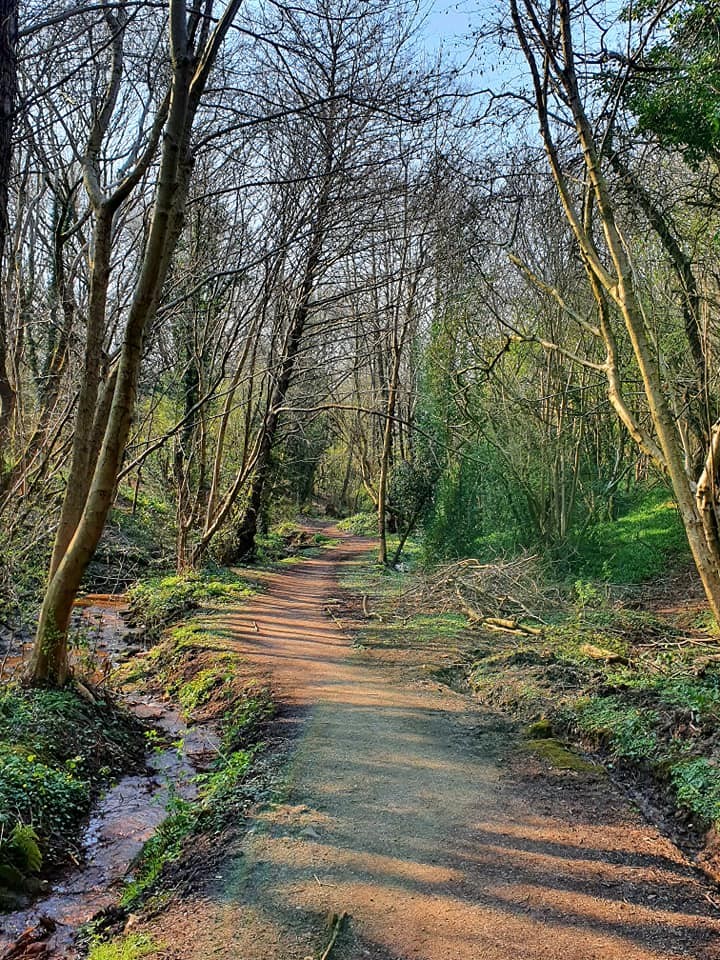 Friends of Hawne Park - Halesowen