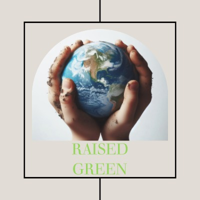 Raised Green - Eco Playgroup