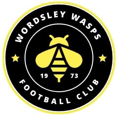 Wordsley Wasps Football Club