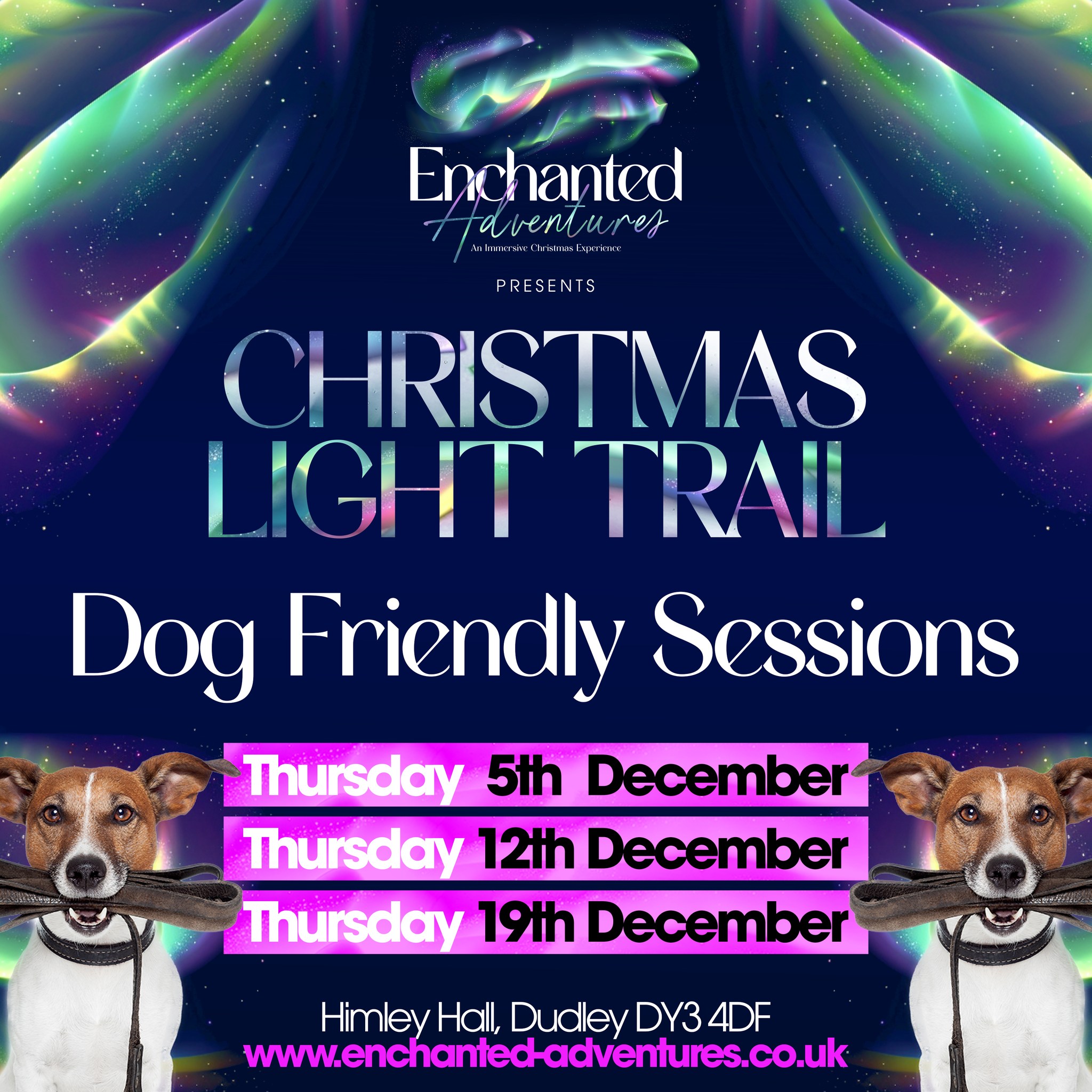 Himley Hall and Park - The Enchanted Adventures: Christmas Light Trail Dog Friendly Sessions