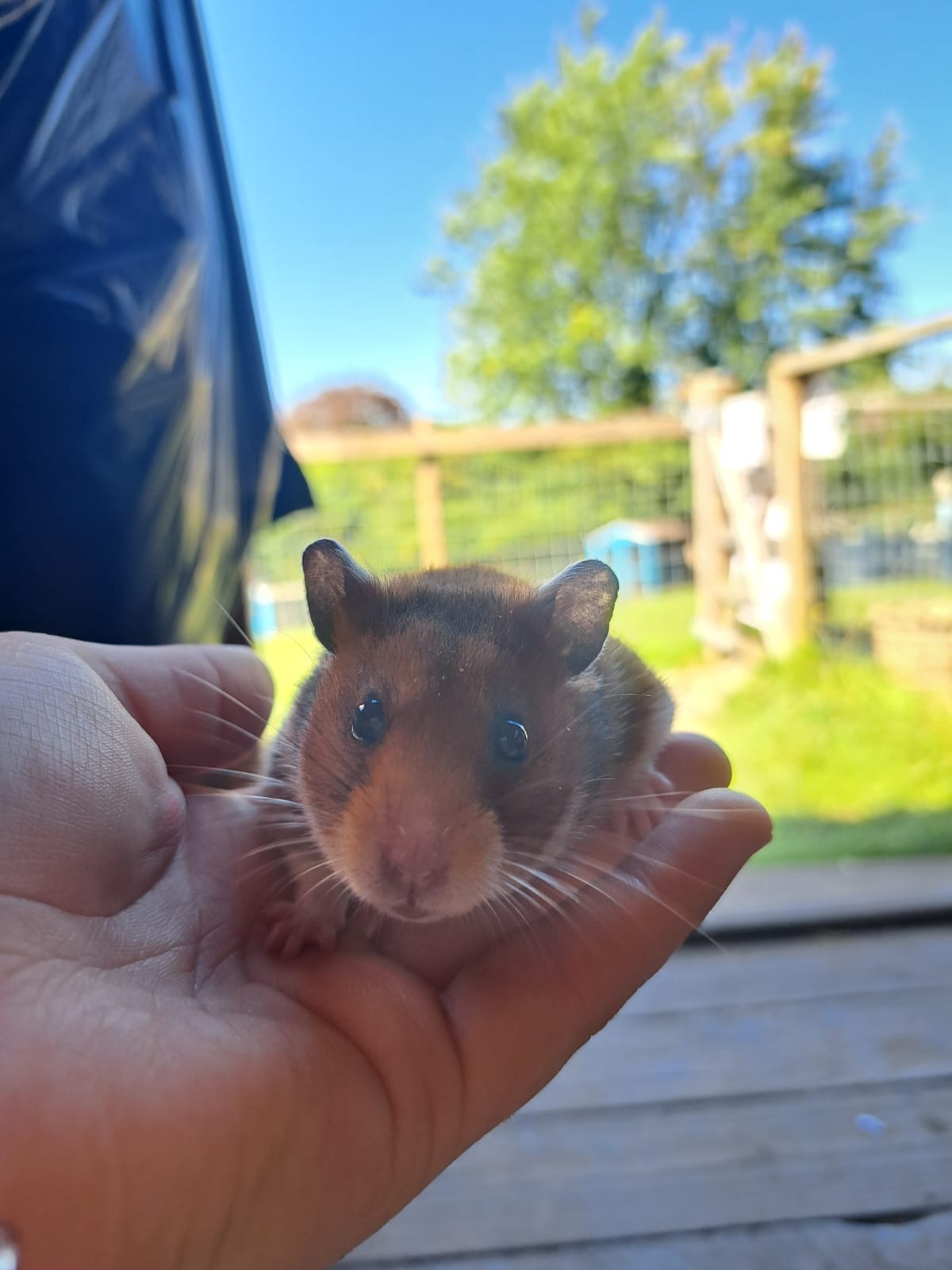 Sedgley Adventure Centre