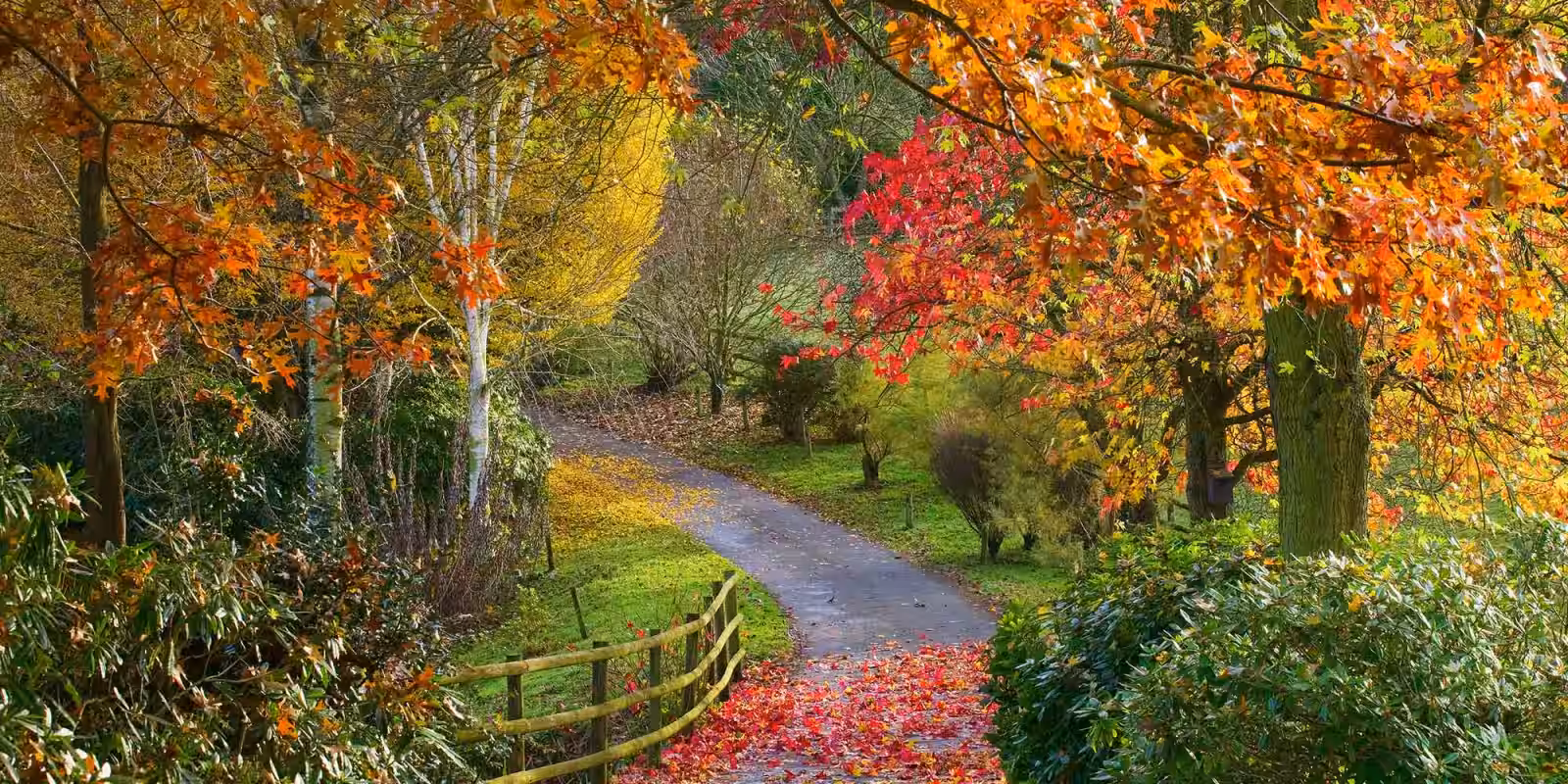 Bodenham Arboretum