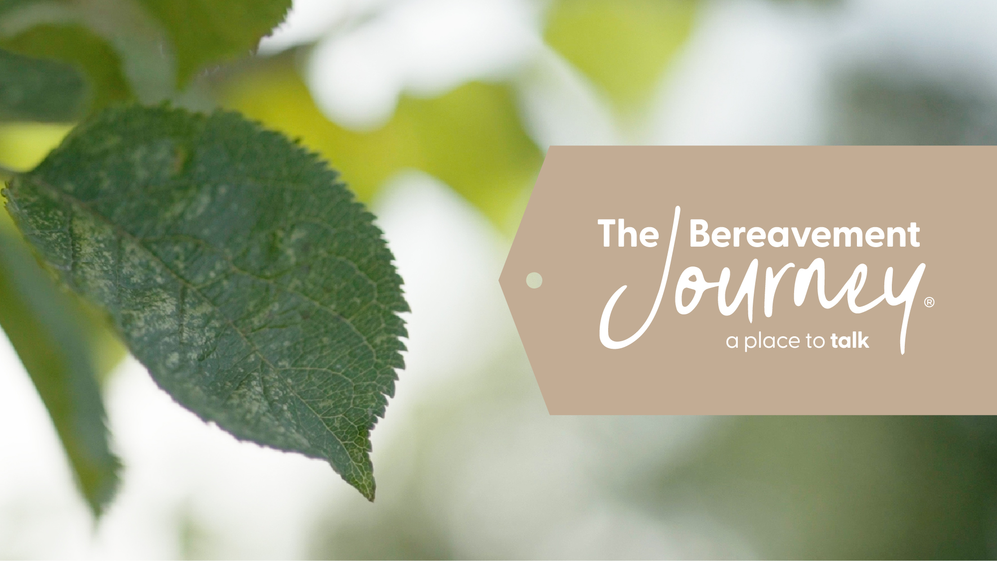 All Saints Church Hall - Bereavement Journey Course