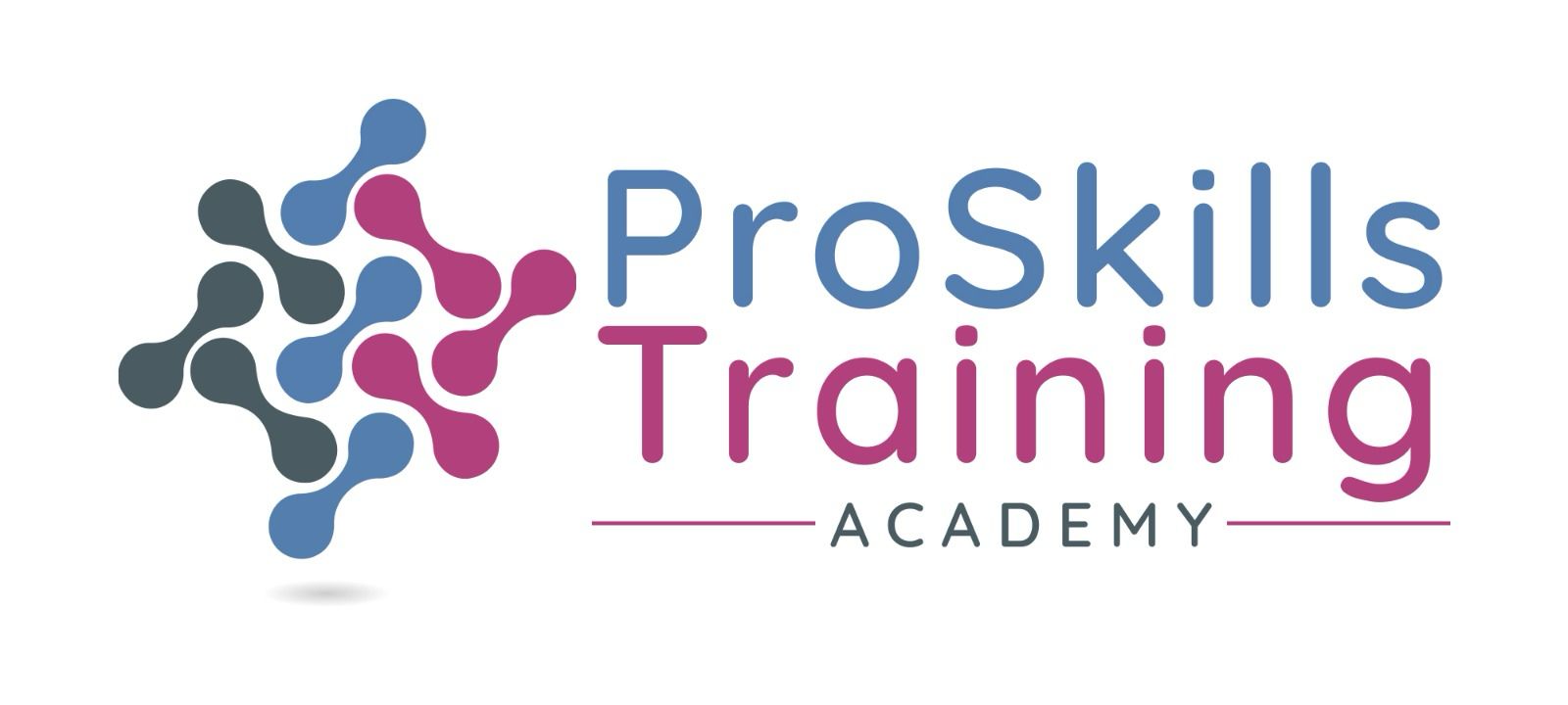 ProSkills Training Academy