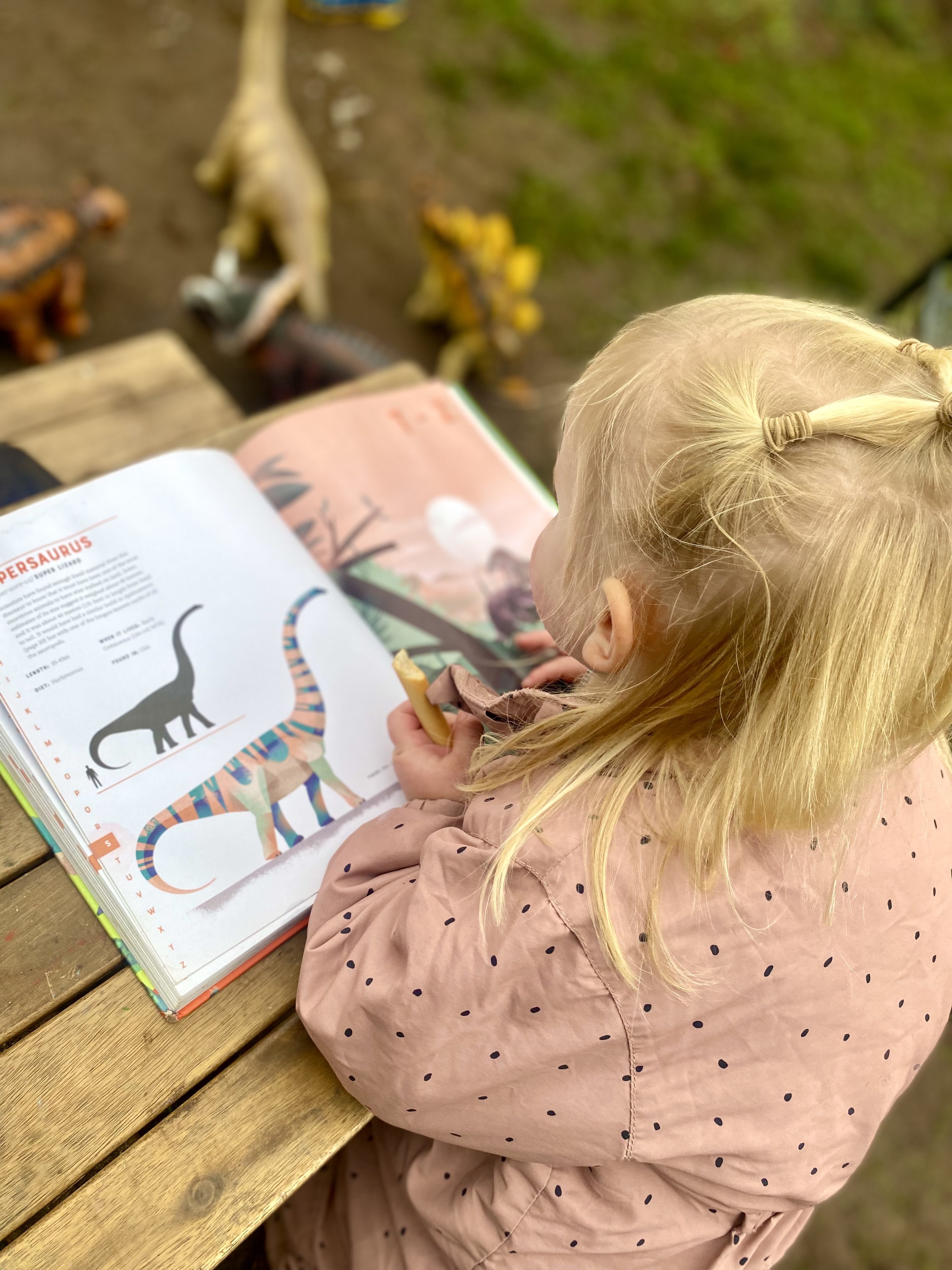 Little Wonder Bugs - Outdoor Stay and Play