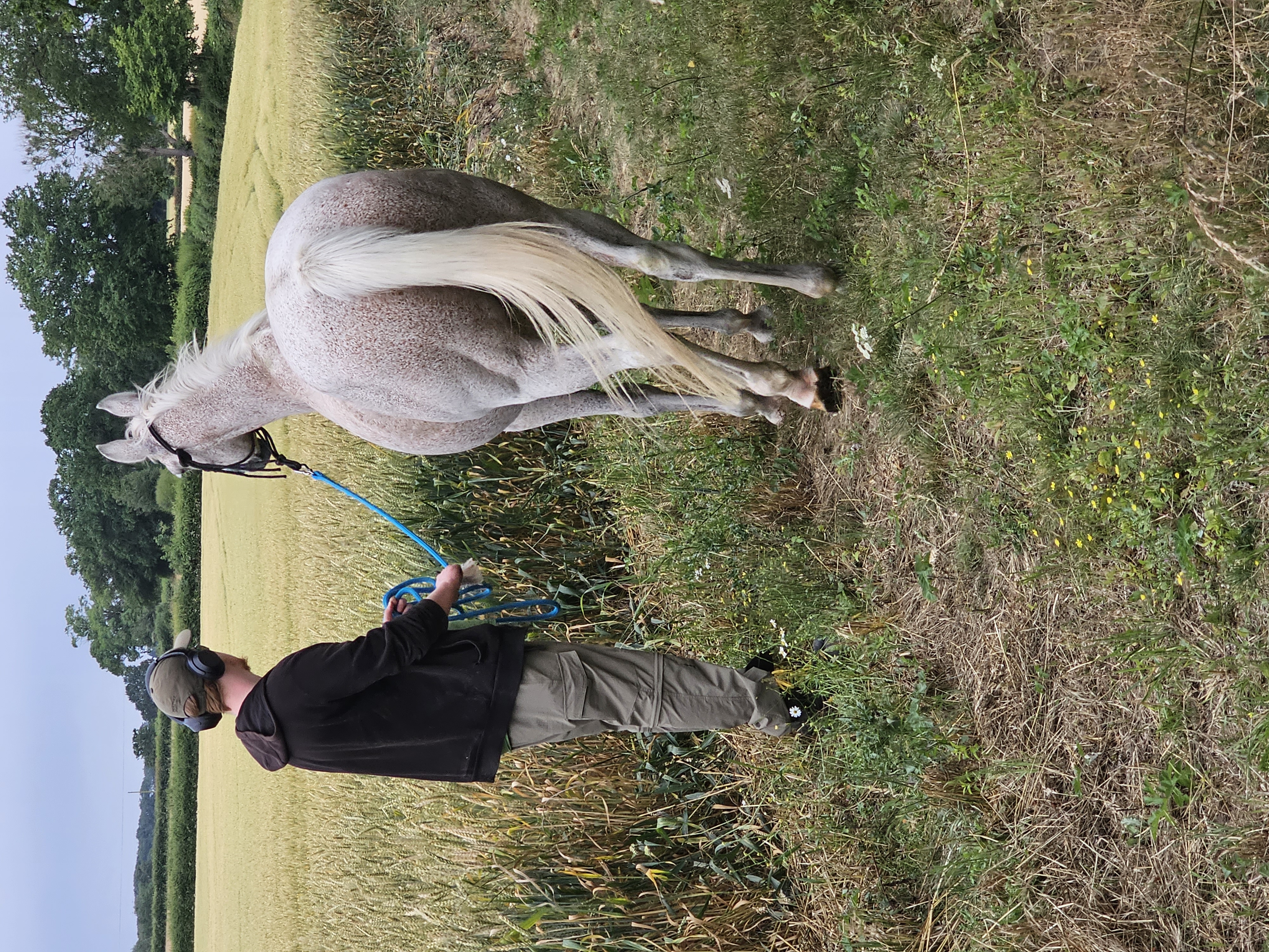 Hay Farm Therapy Centre