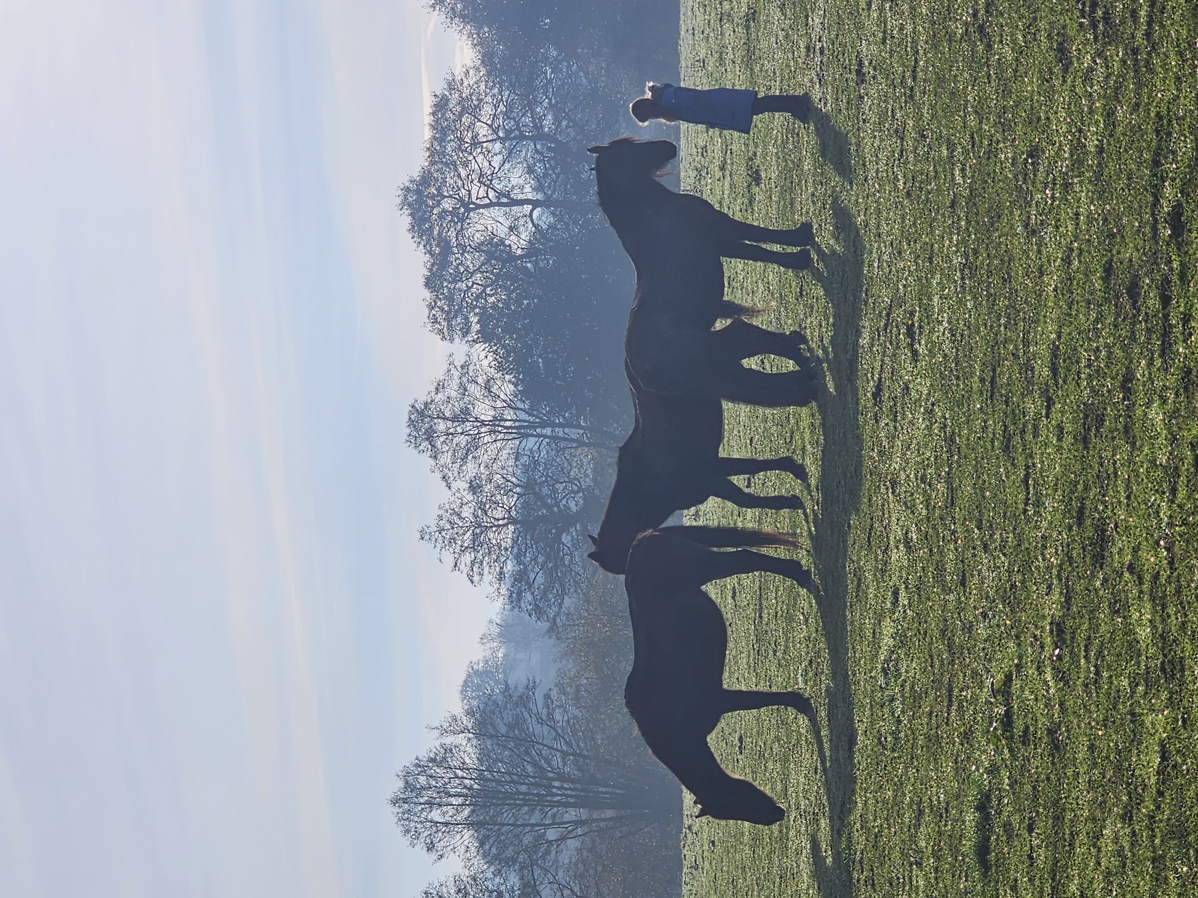 Hay Farm Therapy Centre