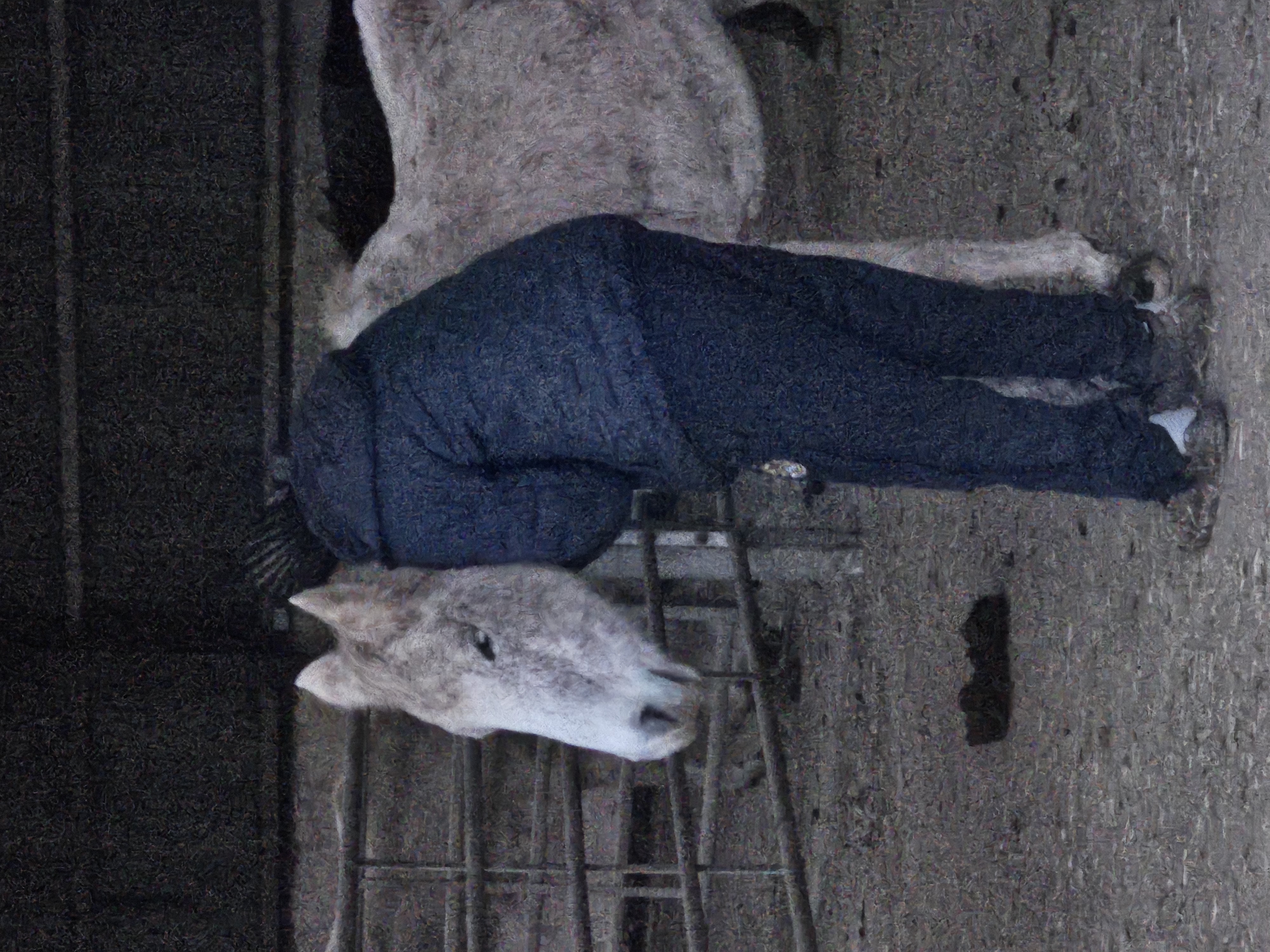 Hay Farm Therapy Centre