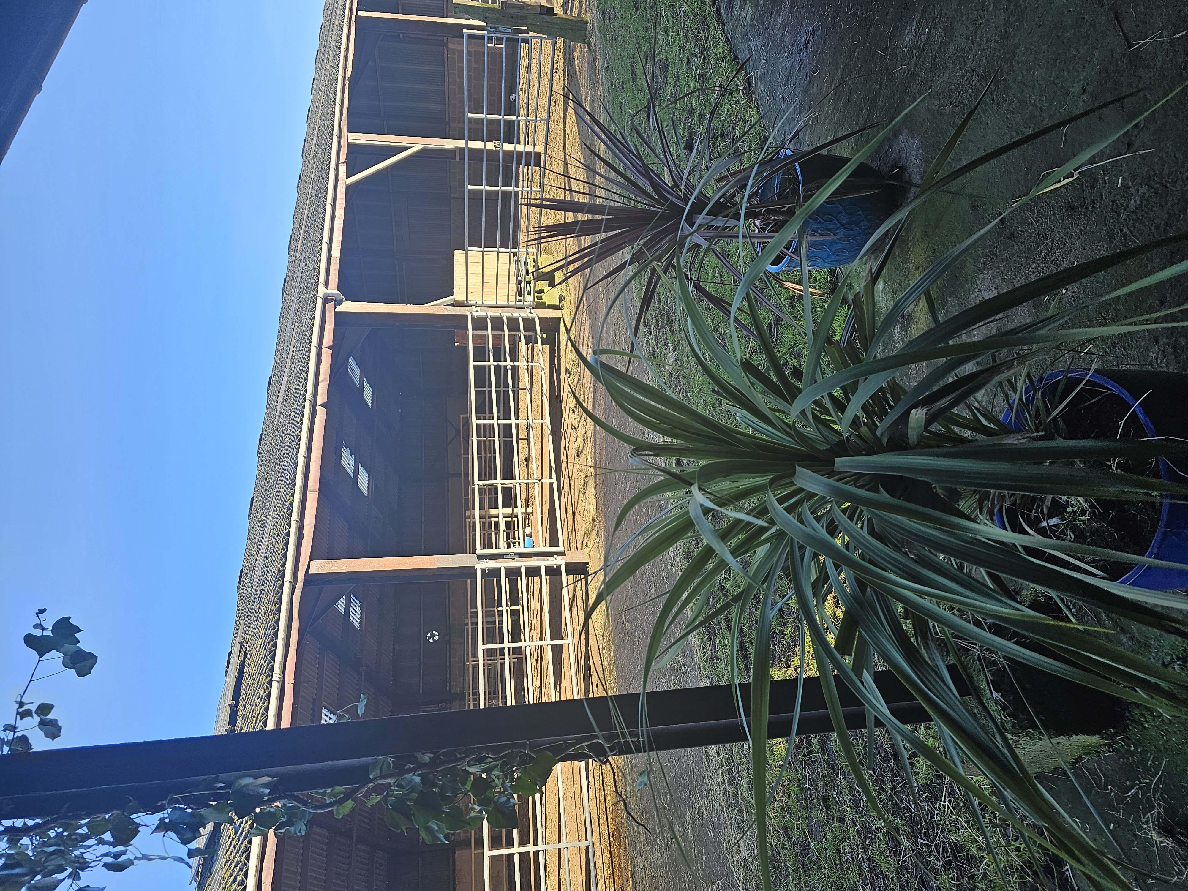 Hay Farm Therapy Centre