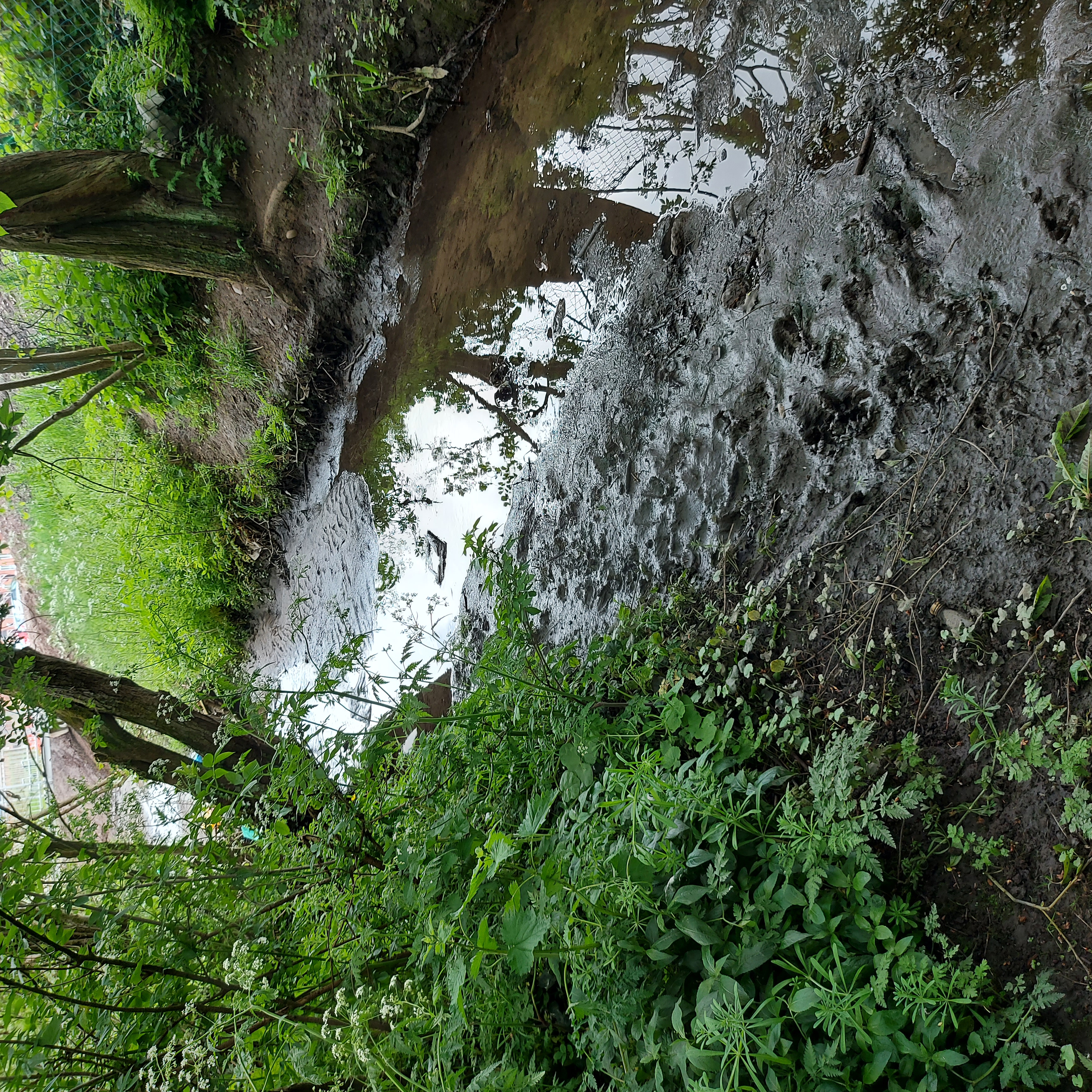 Friends of Hurst Green Park