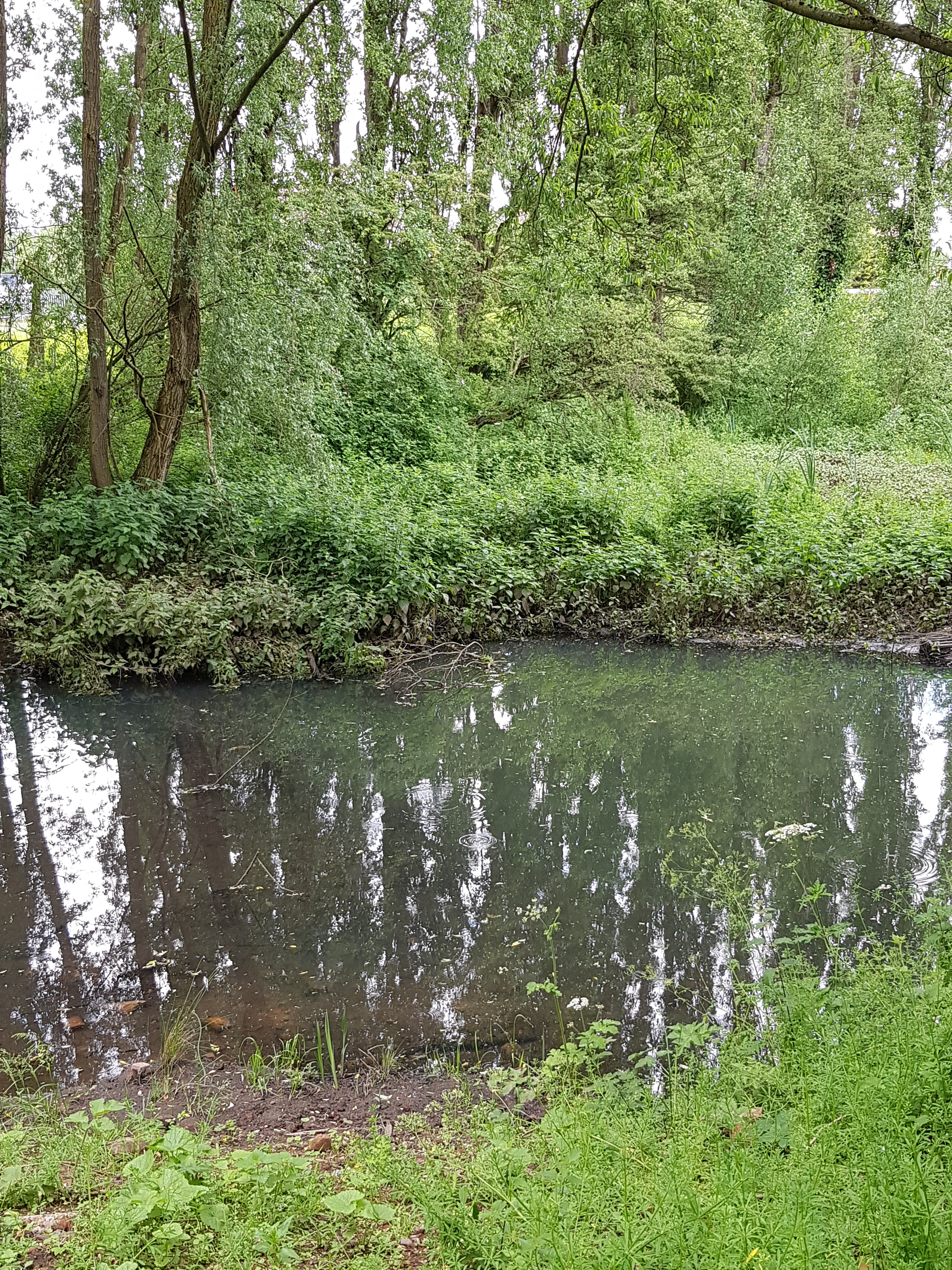 Friends of Hurst Green Park