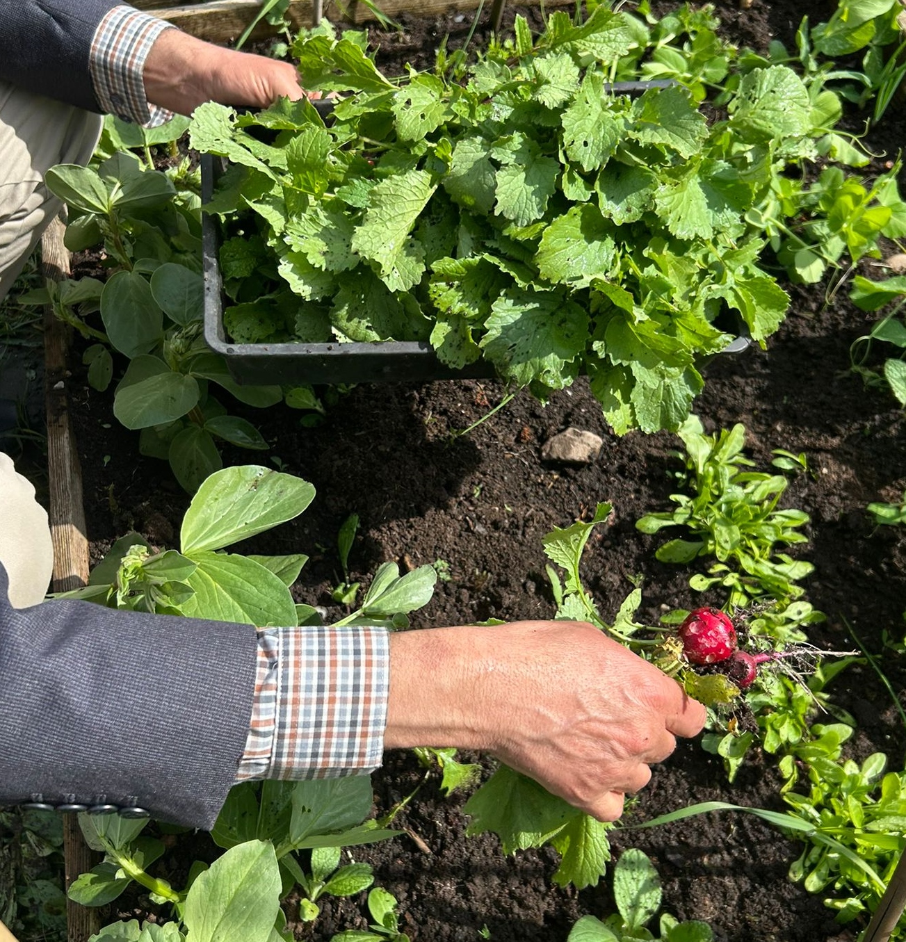 TerraPro International CIC - Urban Agriculture Training