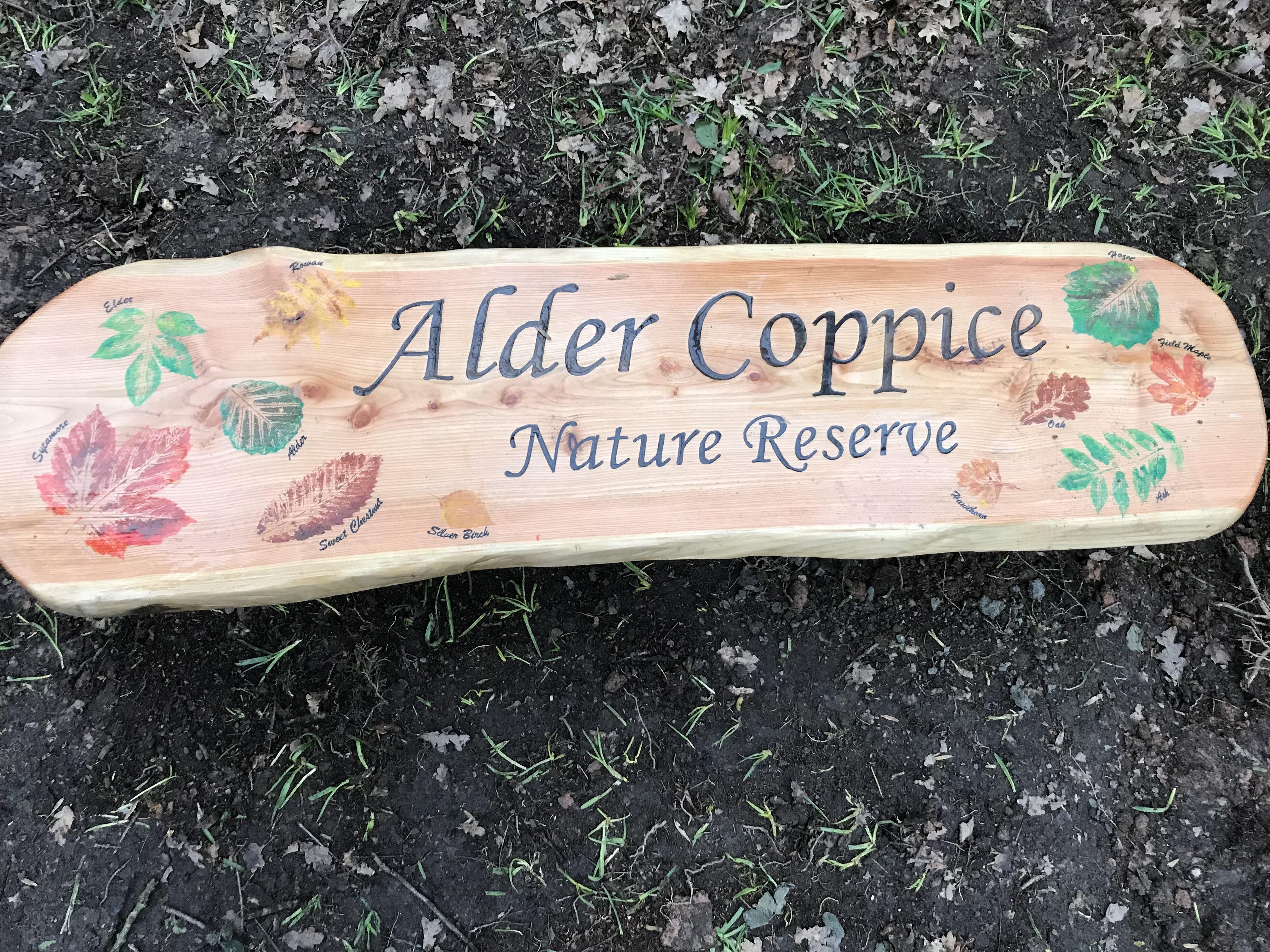Alder Coppice Local Nature Reserve